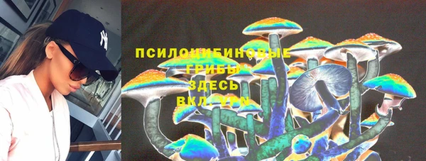 ПСИЛОЦИБИНОВЫЕ ГРИБЫ Баксан