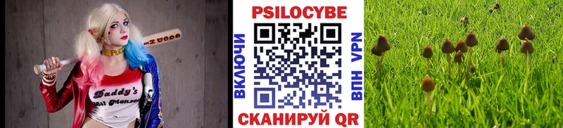 Галлюциногенные грибы мицелий  Лебедянь 